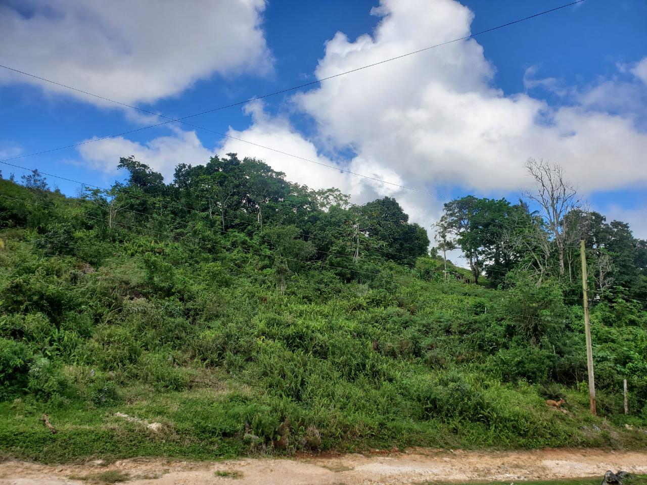 Residential Lot For Sale EBENEZER, Bamboo 4,300,000 Keez