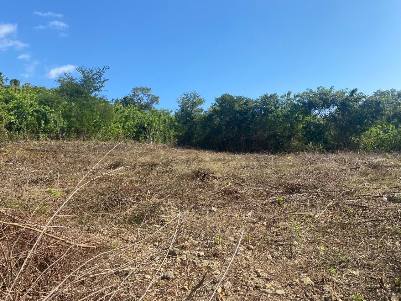 Residential Lot For Sale STEWARTON, TREADLIGHT, 2422 3,900,000 Keez