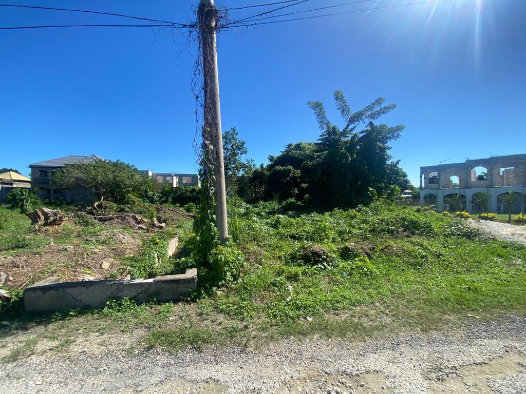 Residential Lot For Sale ROBERTSON ROAD, Middle Quarters 5,300,000