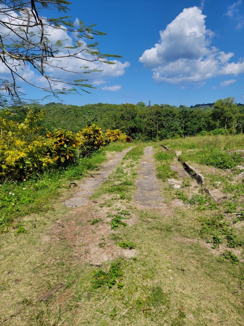 Development Land (Residential) For Sale CLAREMONT, Claremount