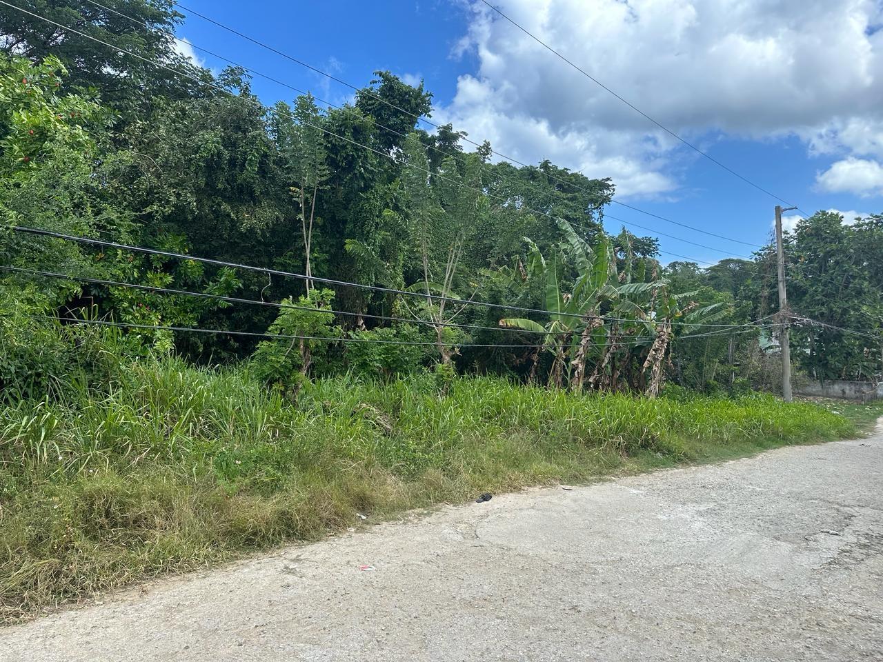 Residential Lot For Sale MARVINS PARK WHITE RIVER, 791 17,000,000