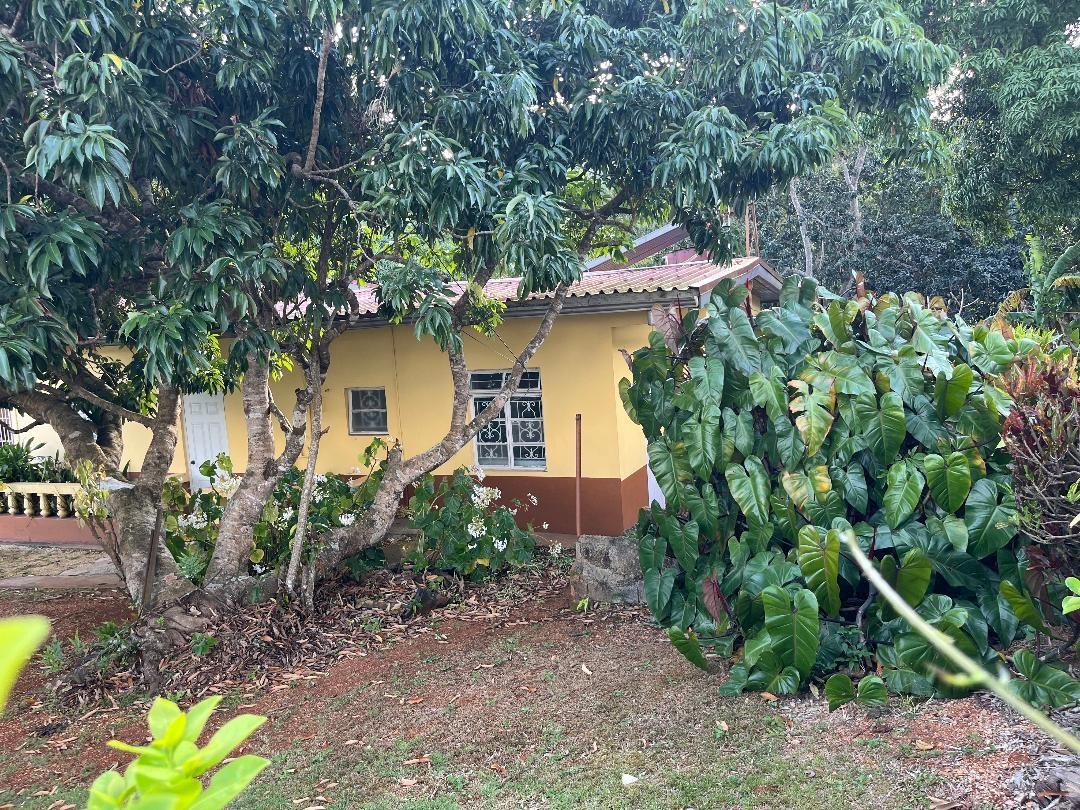 Apartment For Rent BLOOMFIELD STREET, Mandeville 45,000 Keez