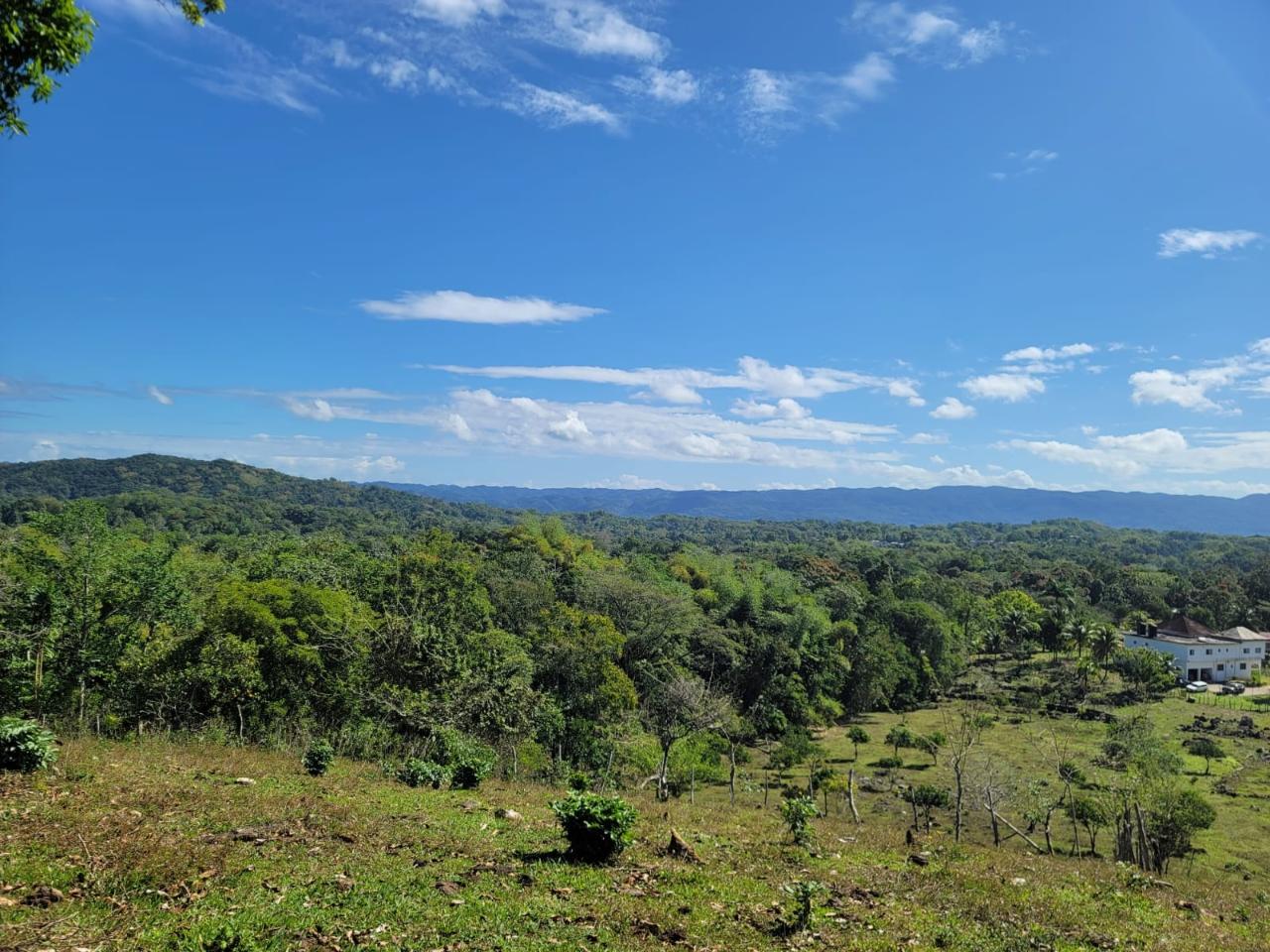 Offices / Commercial Bldg For Sale BETHEL TOWN, WESTMORELAND, 1346