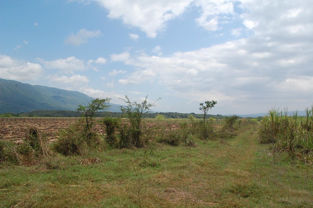 Offices / Commercial Bldg For Sale BOGUE, SAINT ELIZABETH, Elim