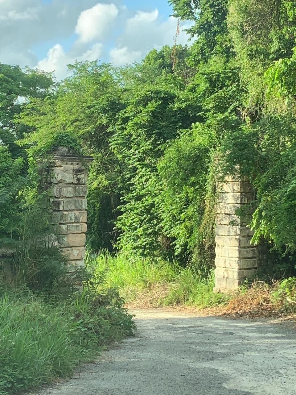 residential-lot-for-sale-cardiff-hall-runaway-bay-15-000-000-keez