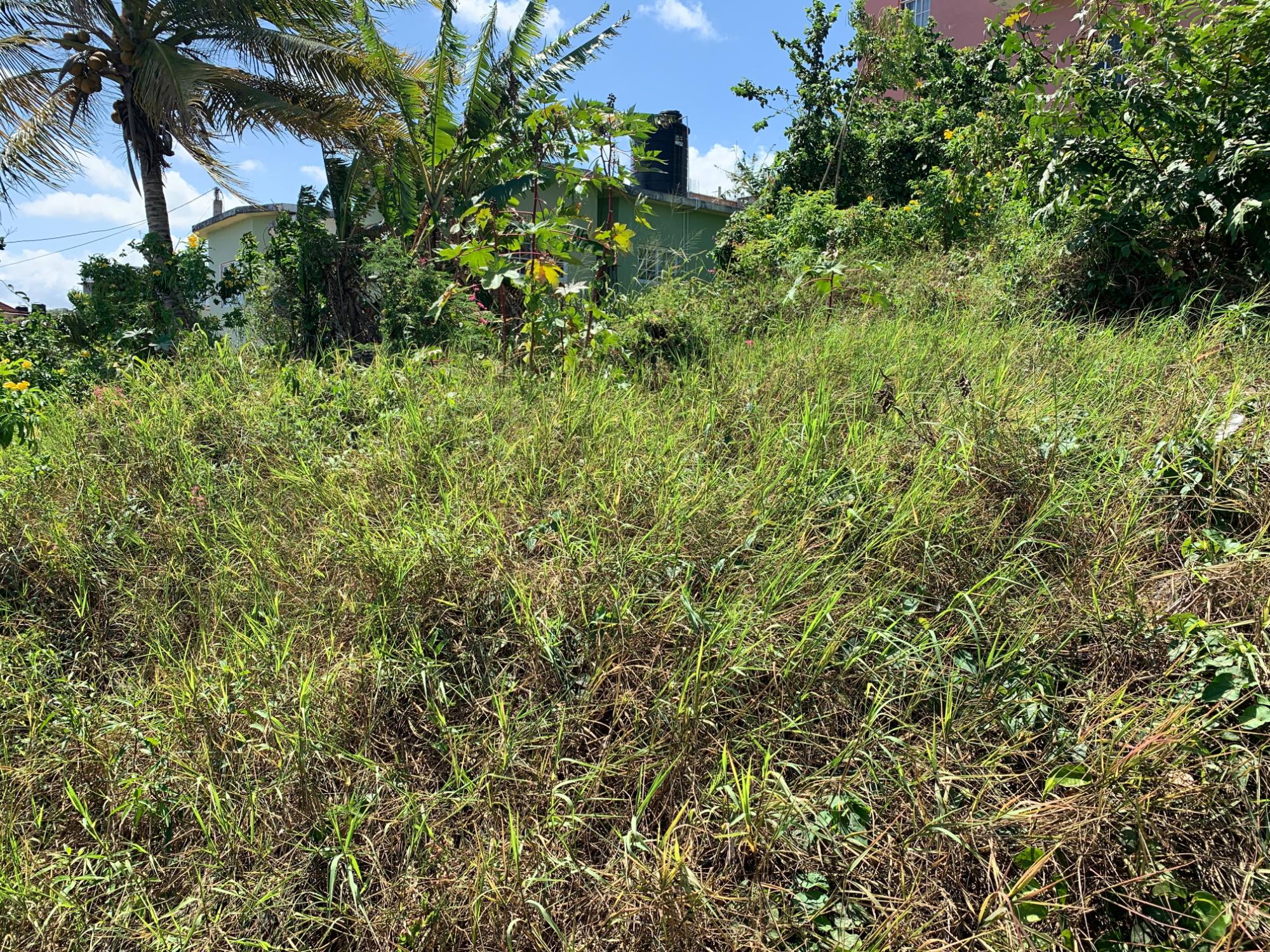 residential-lot-for-sale-colonial-drive-duncans-8-000-000-keez