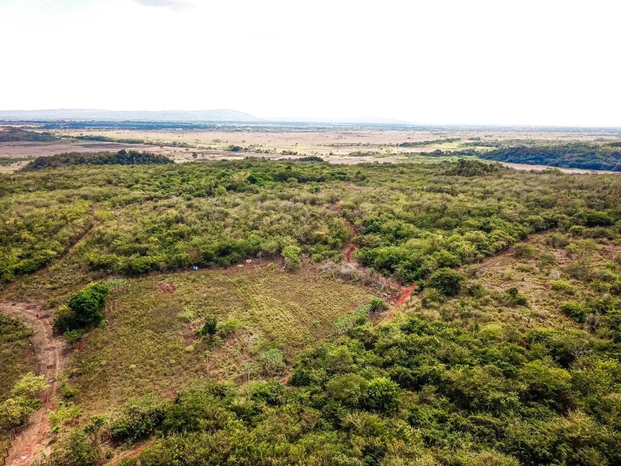 Development Land (Residential) For Sale BELLEVUE HEIGHTS, Bellevue