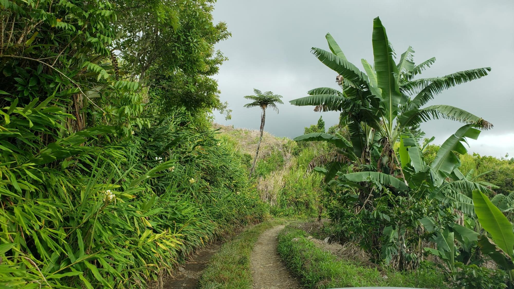 Development Land (Residential) For Sale WRAY PIECE, SPRING HILL