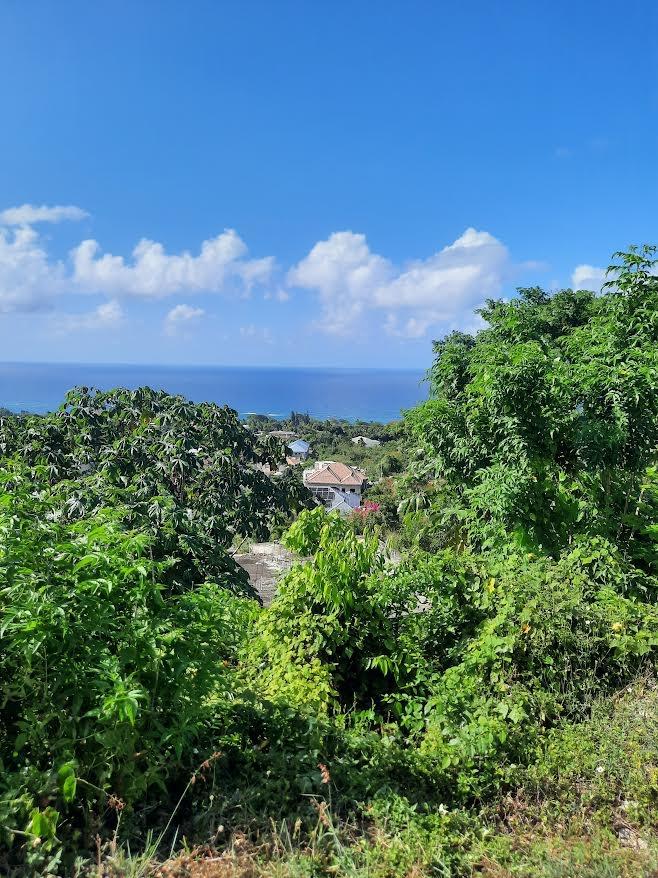 Residential Lot For Sale: BALMORAL HEIGHTS, ST MARY, Tower Isle ...