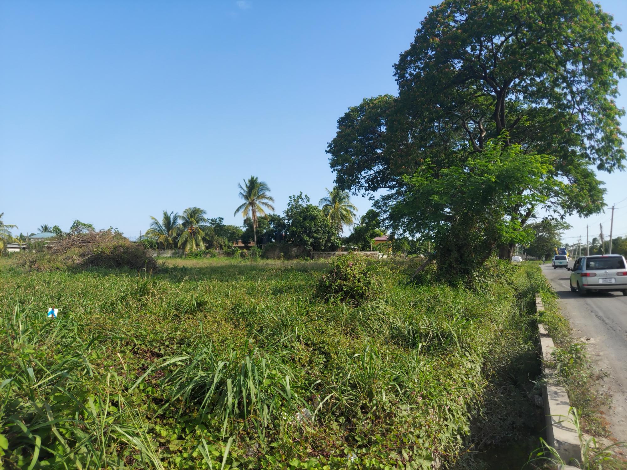 Development Land (Residential) For Sale WILLOWDENE SPANISH TOWN