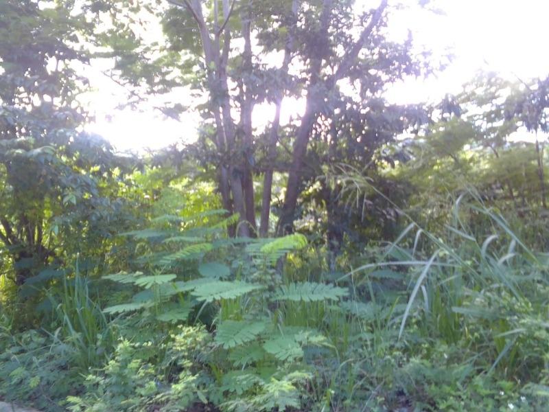 Residential Lot For Sale HAUGHTON COURT, LUCEA, Lucea 7,000,000 Keez
