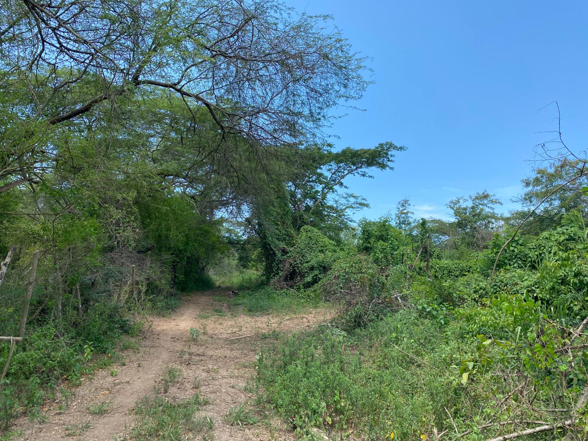 Development Land (Residential) For Sale KIBBLES, OLD HARBOUR, Old