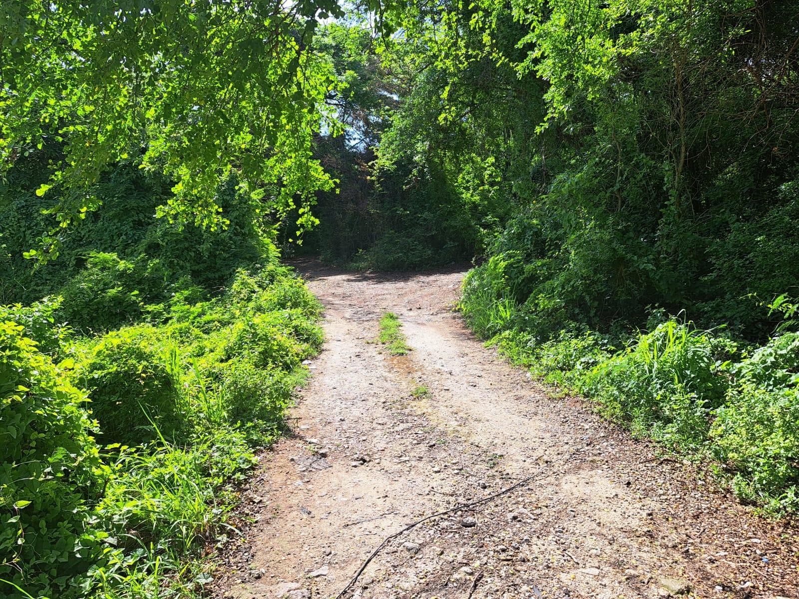 Development Land (Residential) For Sale GREENWOOD, ST. JAMES, Montego