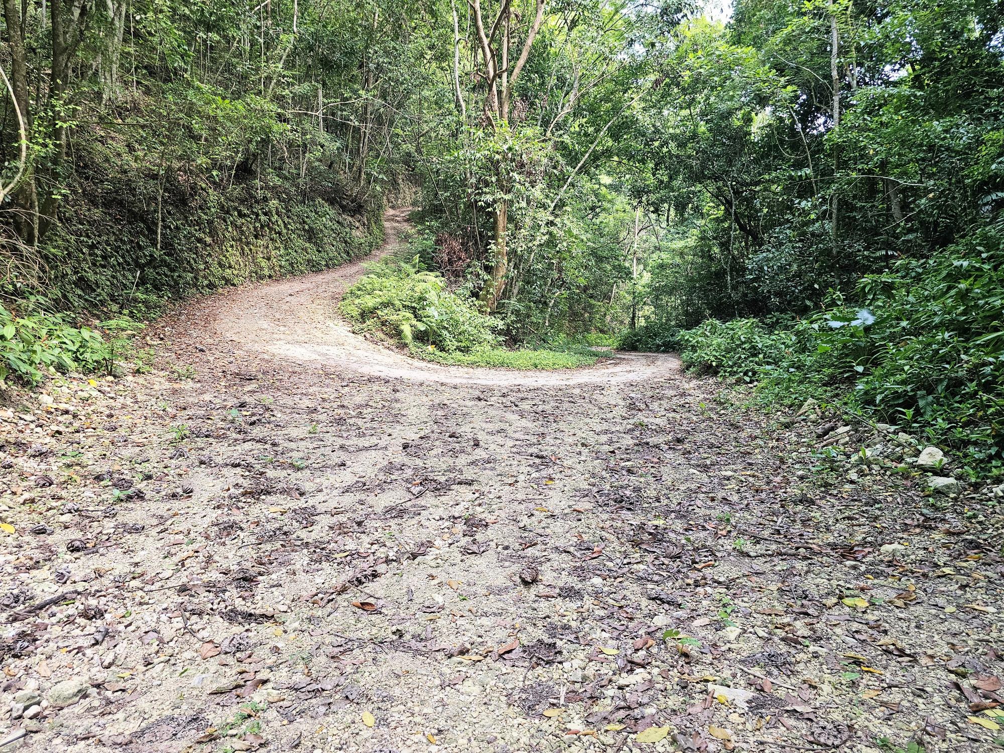 Residential Lot For Sale: SPRING GARDEN, Montego Bay | $6,000,000