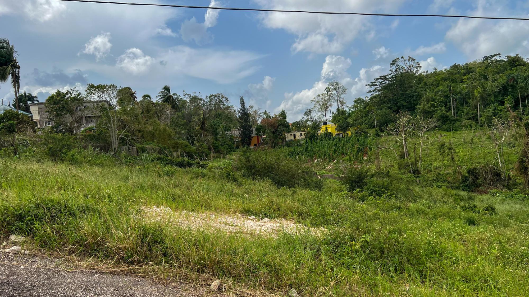 Residential Lot For Sale HILLSIDE CLOSE, Mandeville 6,000,000 Keez