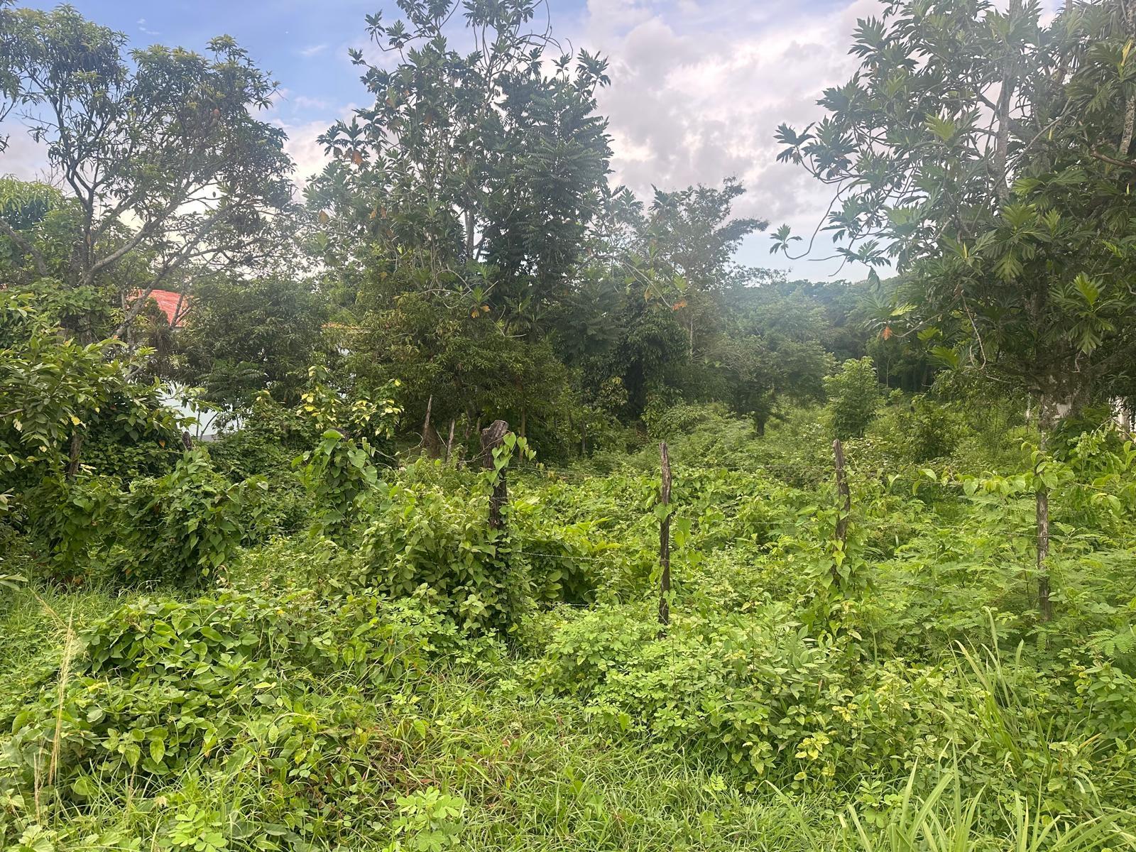 Residential Lot For Sale LUANA PEN, Luana 7,000,000 Keez