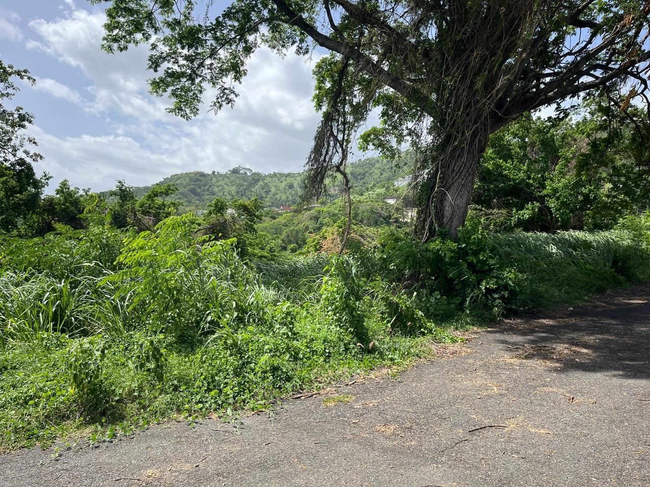 Development Land (Residential) For Sale HARRIMAN CLOSE, Kingston 6 950,000 Keez