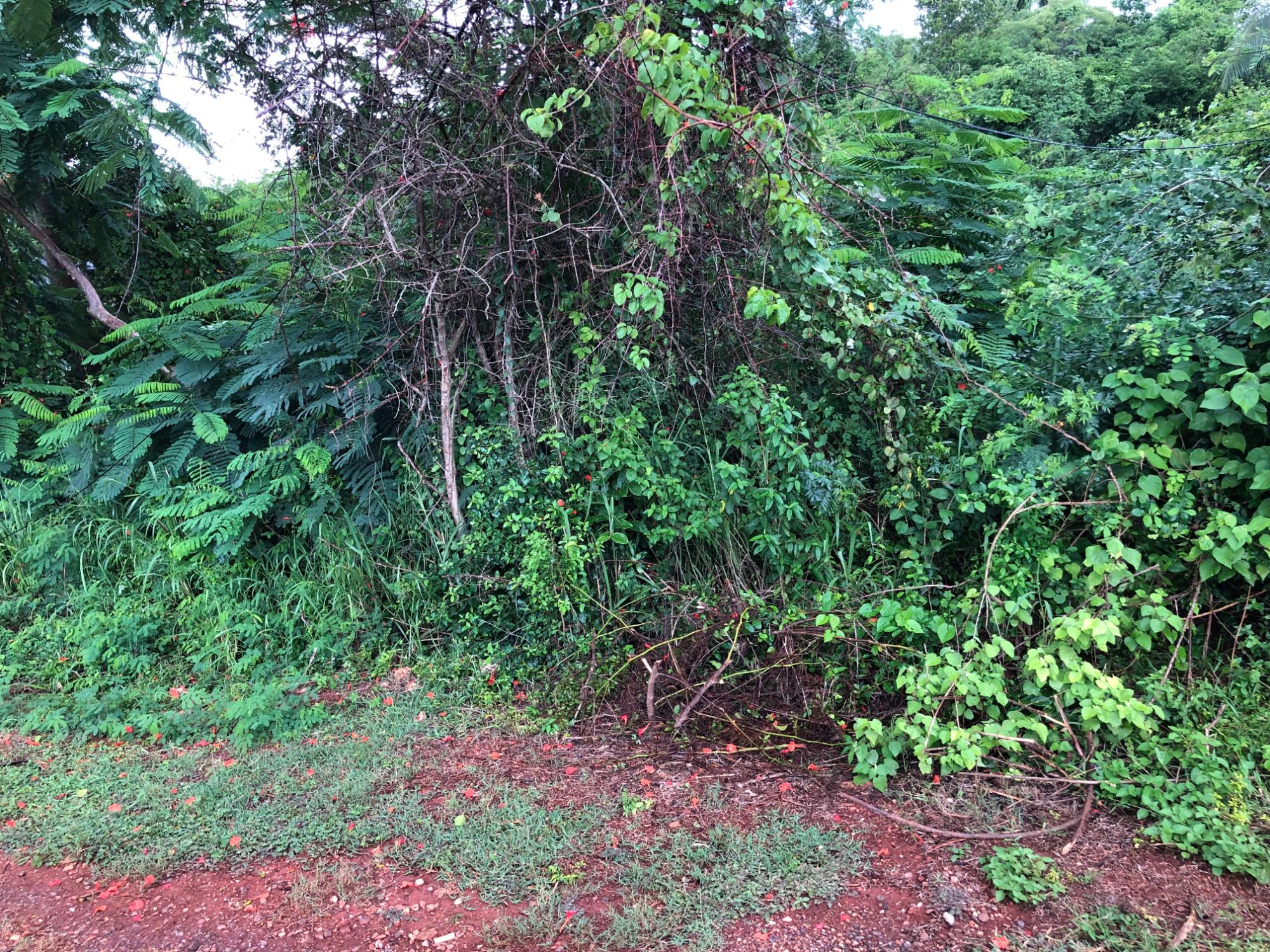 residential-lot-for-sale-golden-view-kitson-town-5-000-000-keez