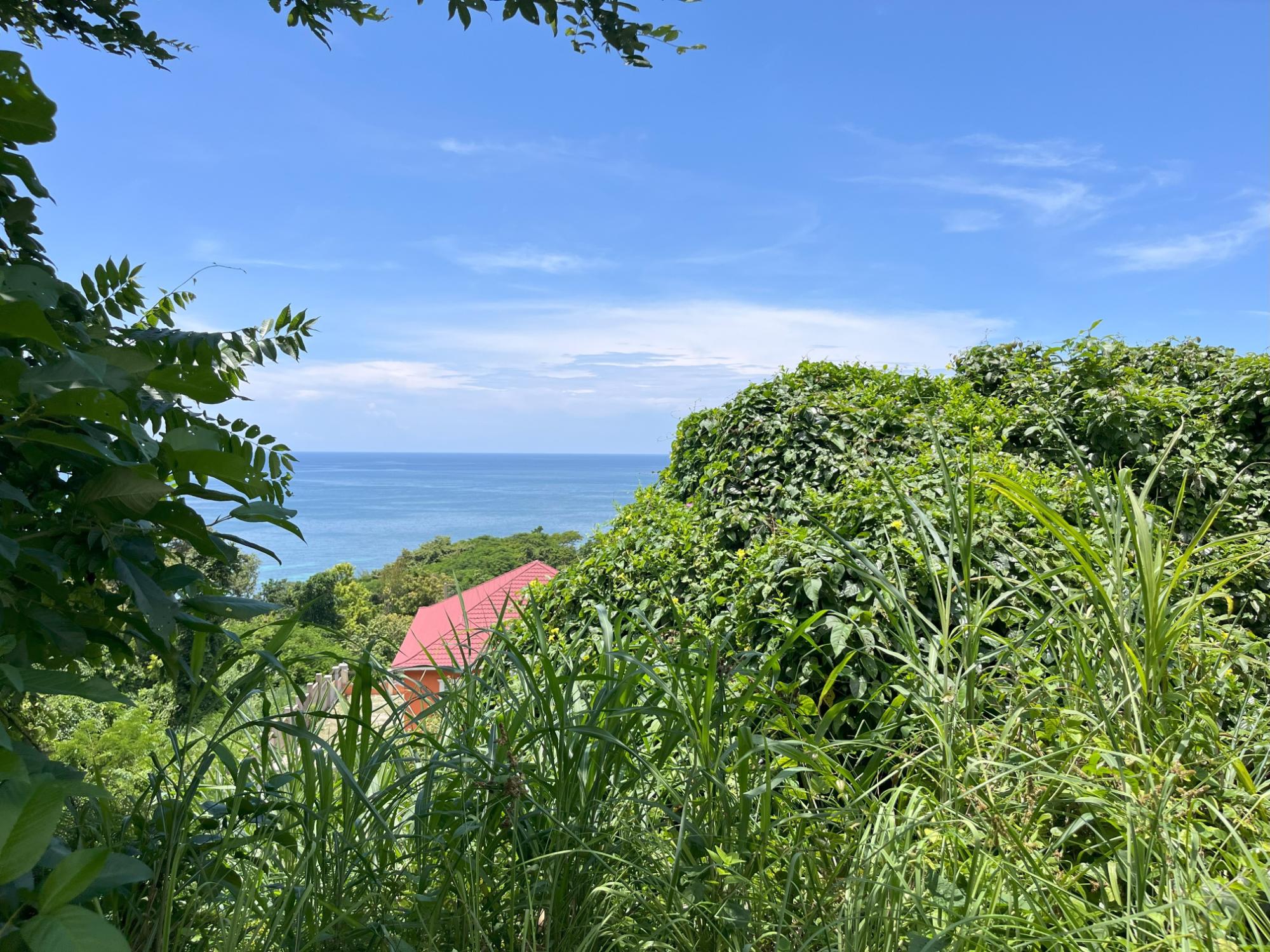 residential-lot-for-sale-bluefields-garden-bluefields-10-800-000