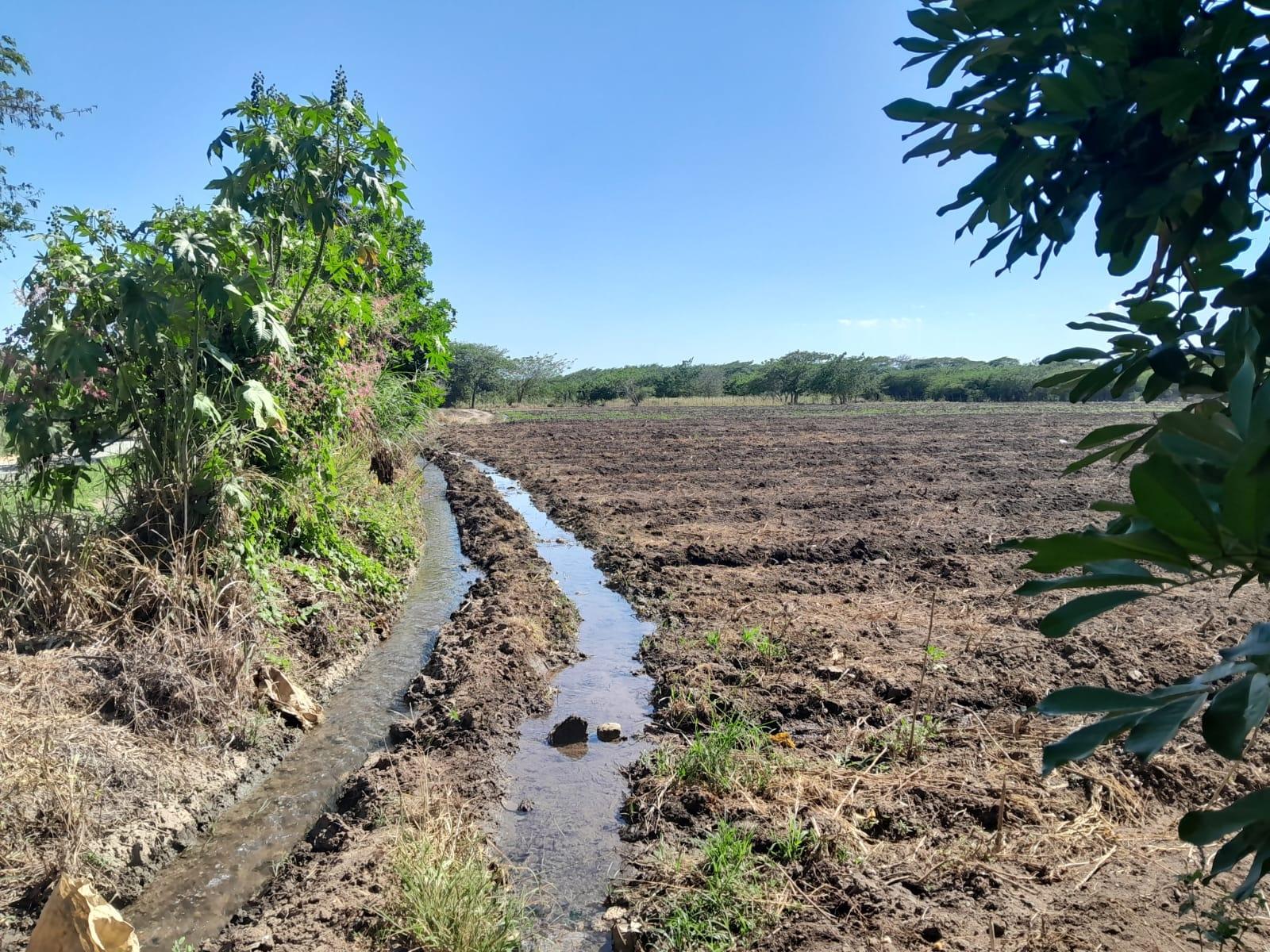 Development Land (Residential) For Sale BUSHY PARK ST CATHERINE