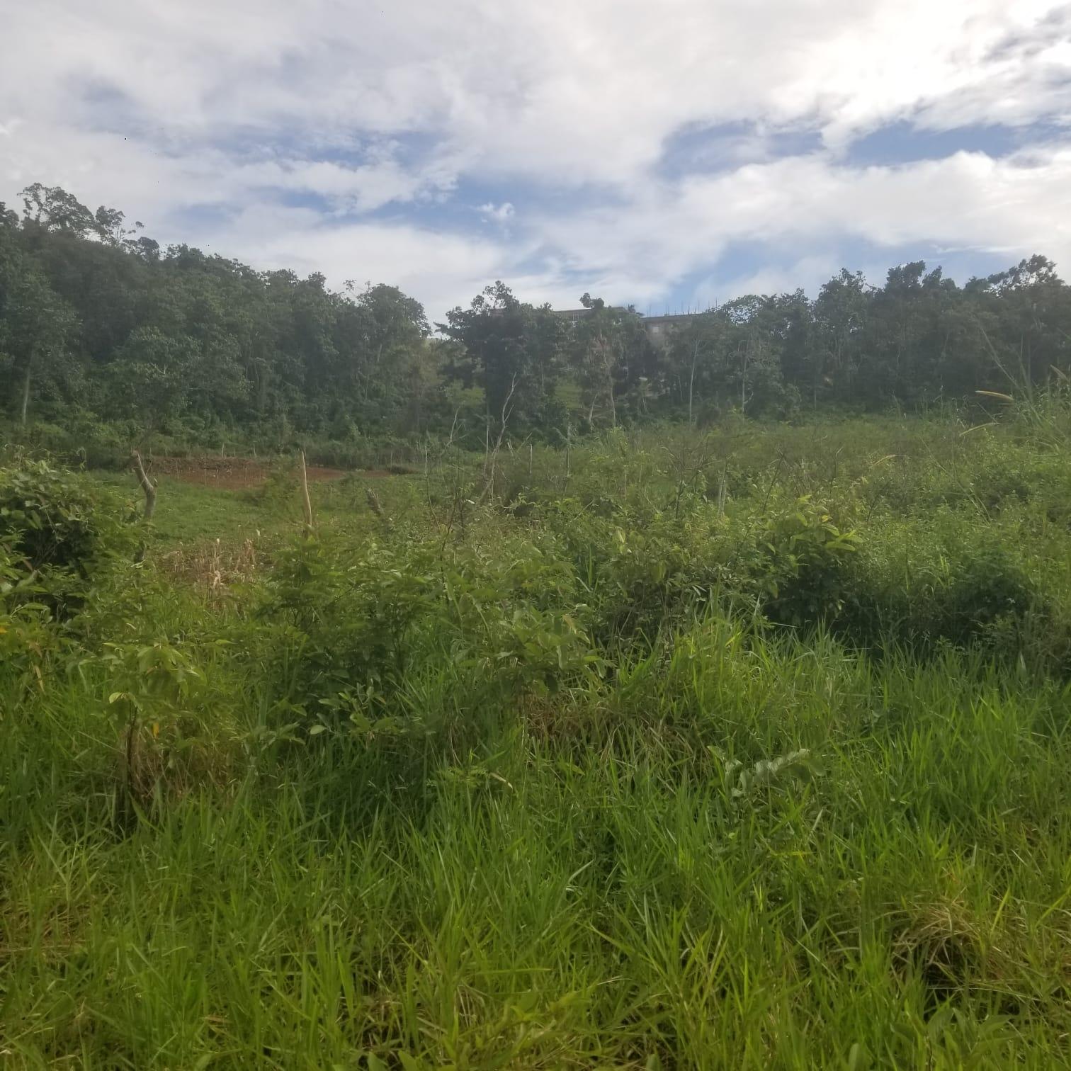 residential-lot-for-sale-250-newark-grove-spur-tree-7-000-000-keez