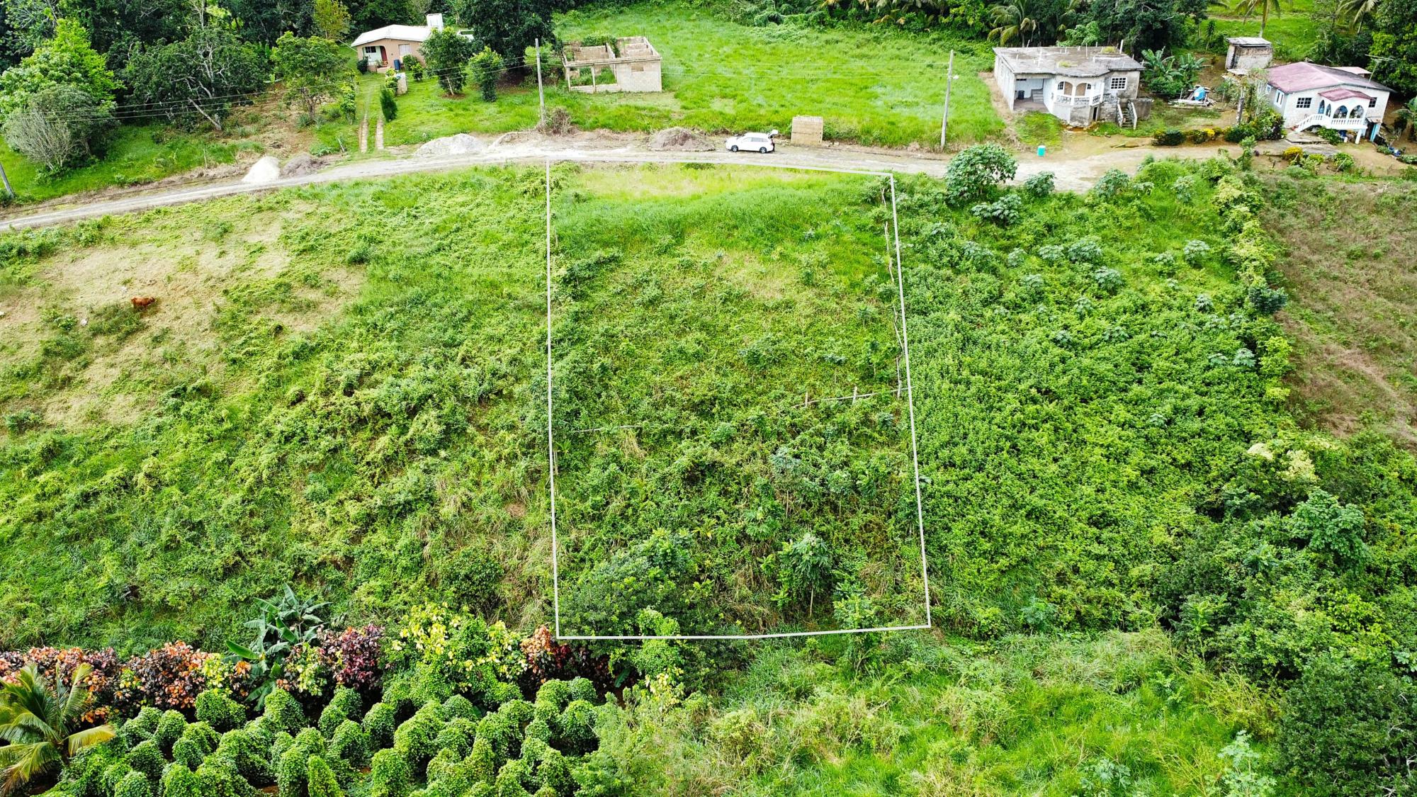 residential-lot-for-sale-the-thicketts-hermitage-hermitage