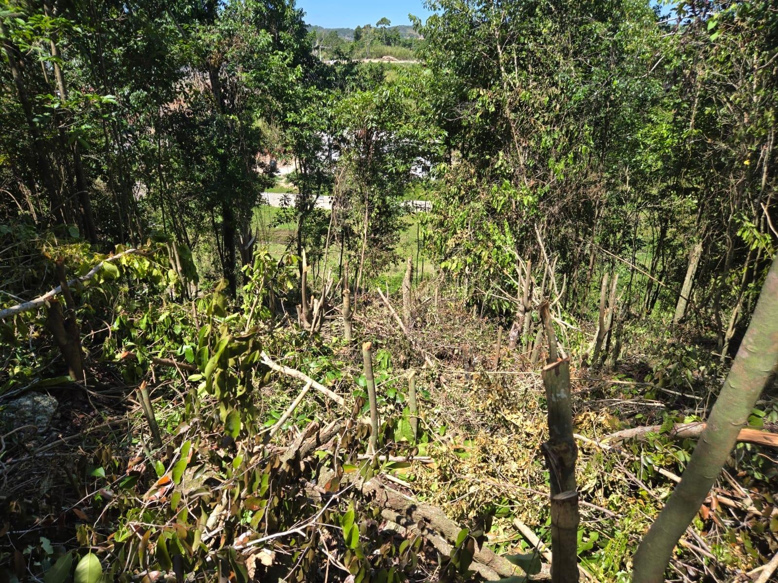 Residential Lot For Sale: RIDGE MOUNT DRIVE, Mandeville | $11,000,000