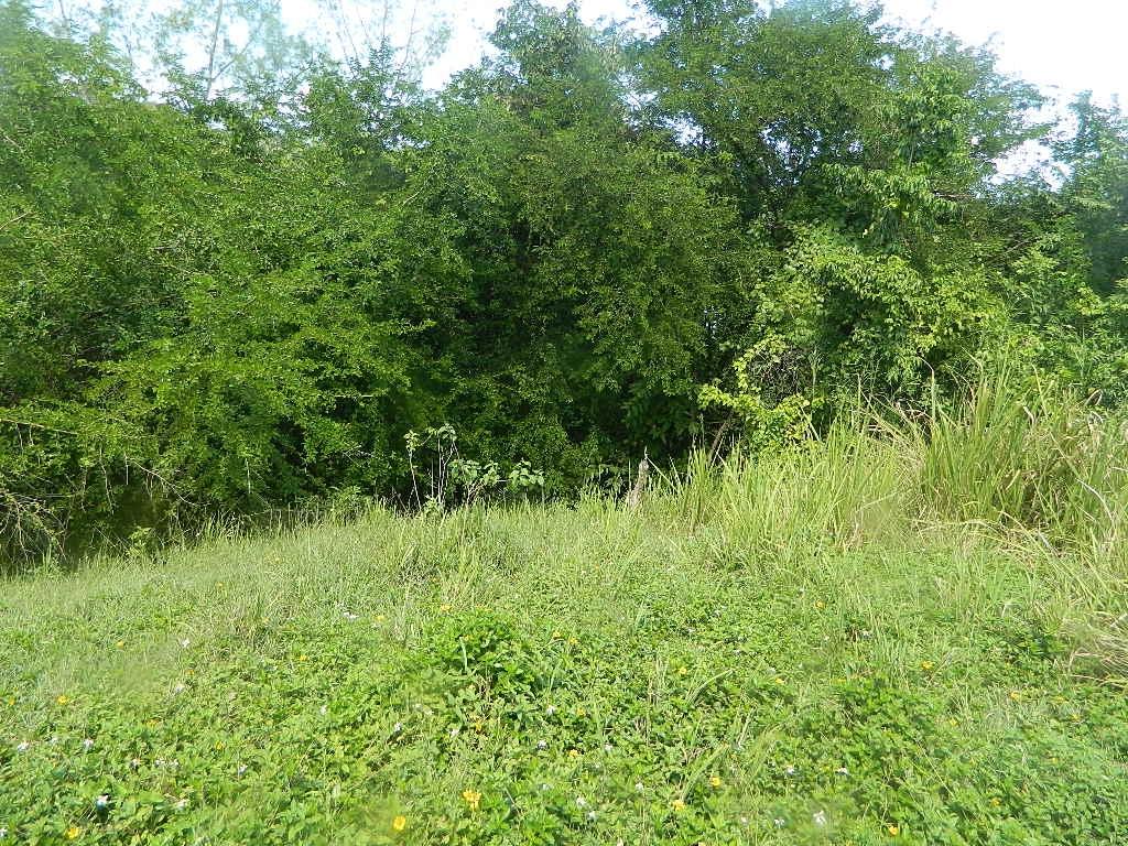 residential-lot-for-sale-white-hall-negril-estate-whitehall