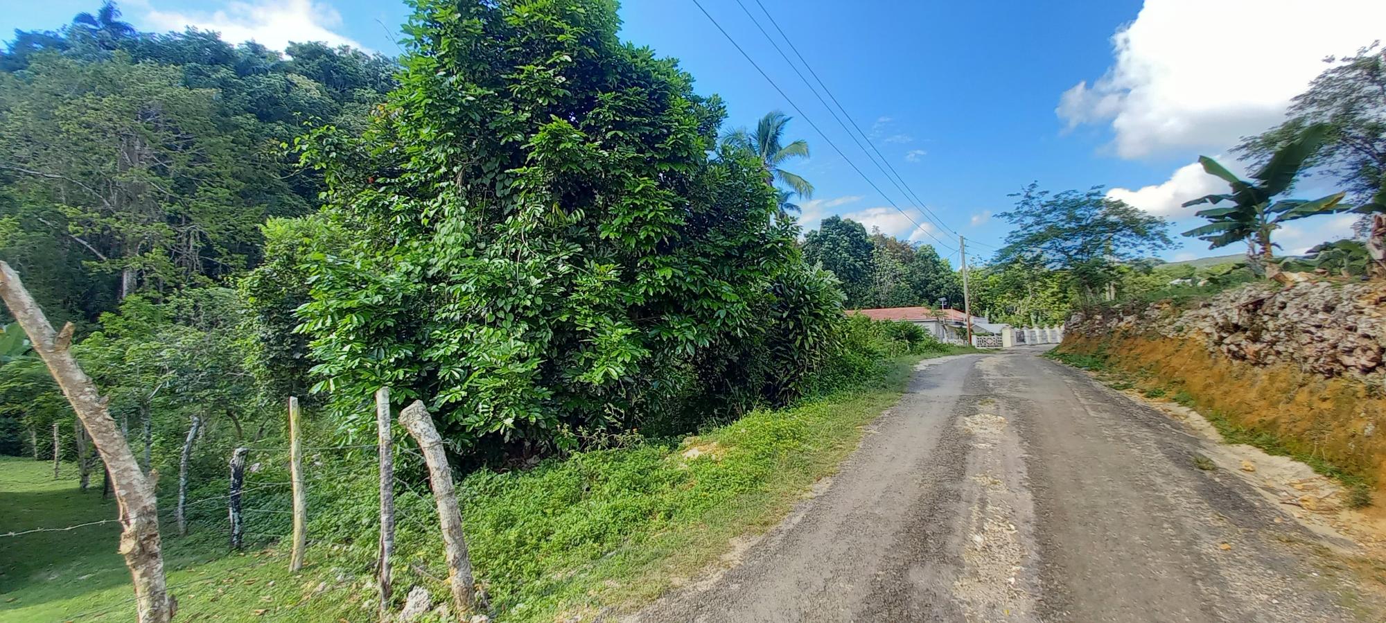 residential-lot-for-sale-alderton-alderton-45-000