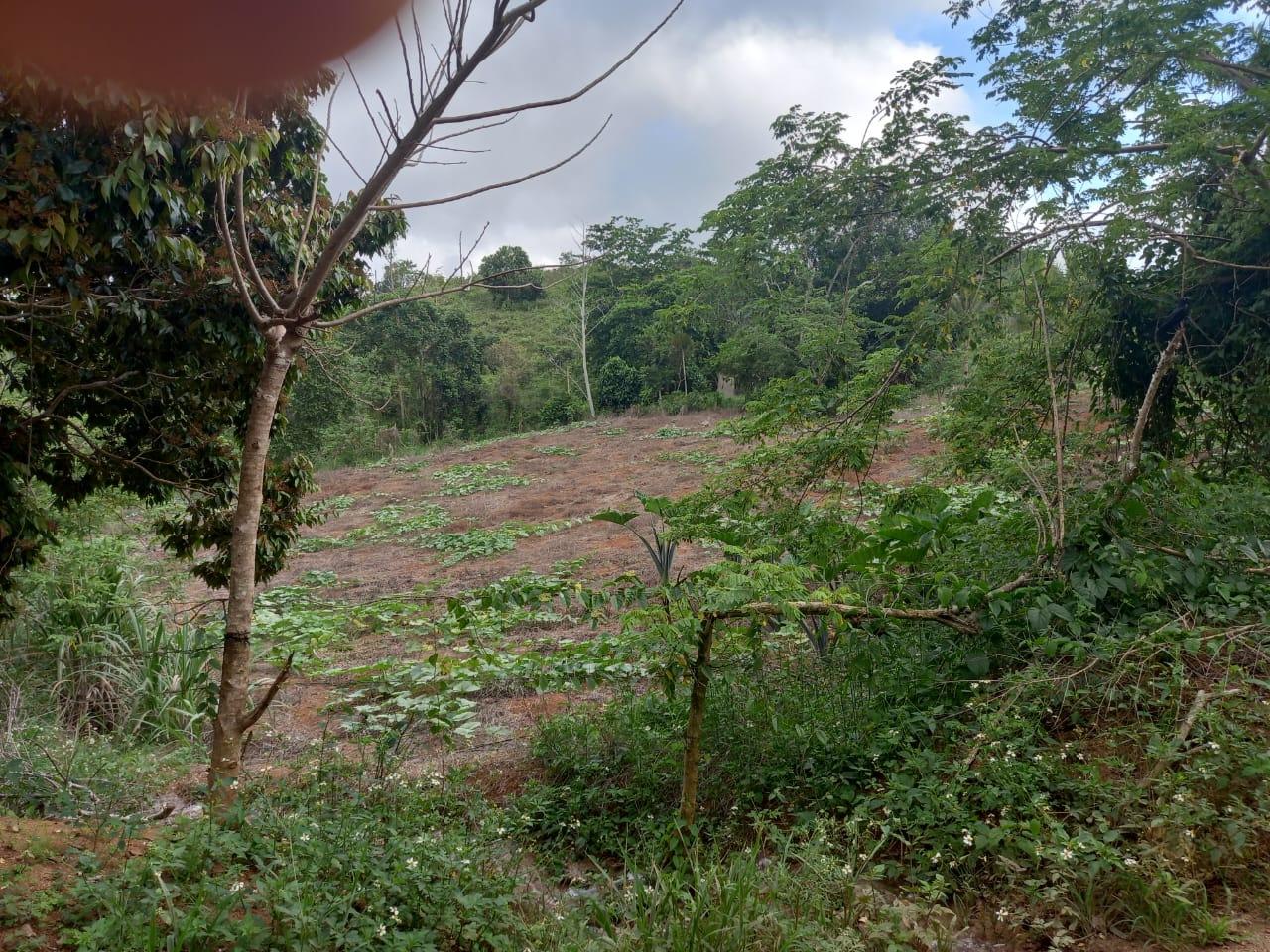 development-land-residential-for-sale-75-retreat-claremont