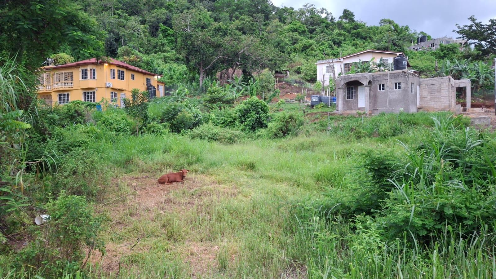 residential-lot-for-sale-balcarres-palms-mandevill-mandeville