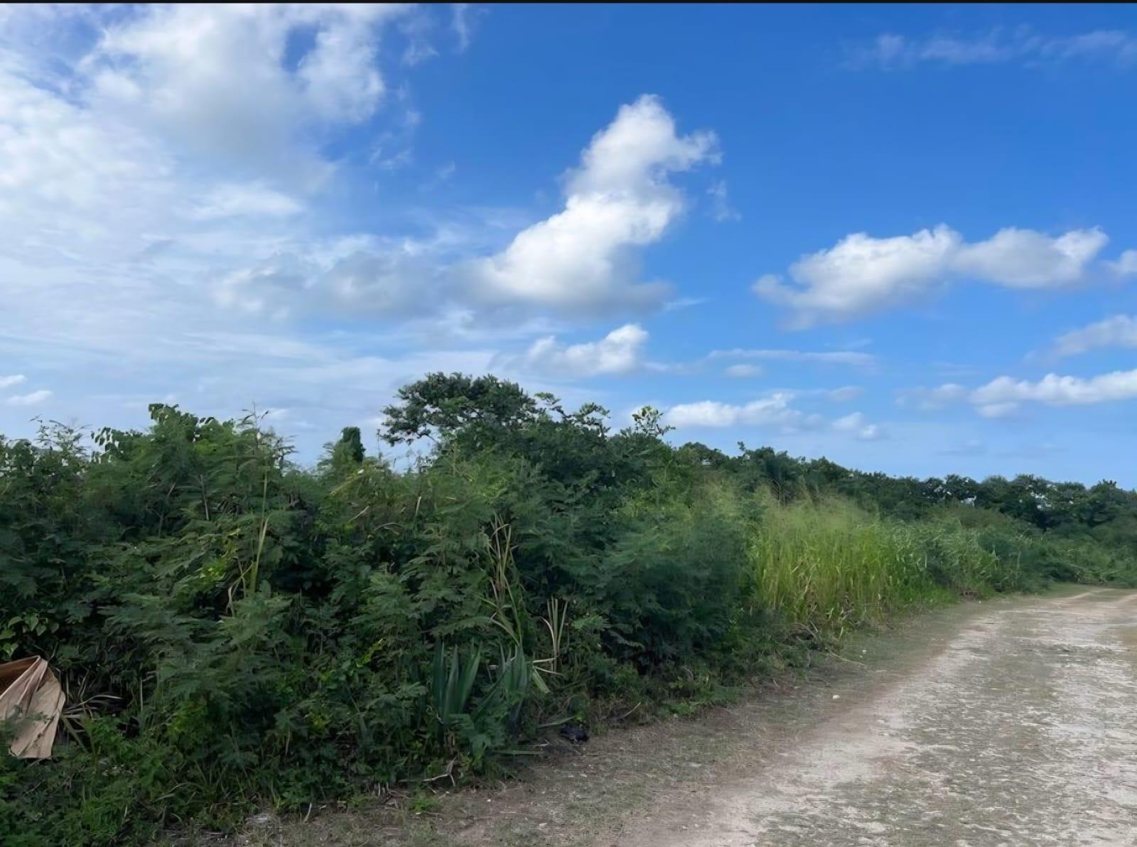 Development Land (Residential) For Sale: SEAFIELD SALT MARSH, Falmouth ...