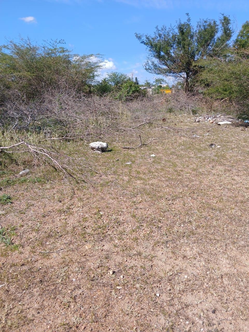 Development Land (Residential) For Sale: VERNAMFIELD, Four Paths ...