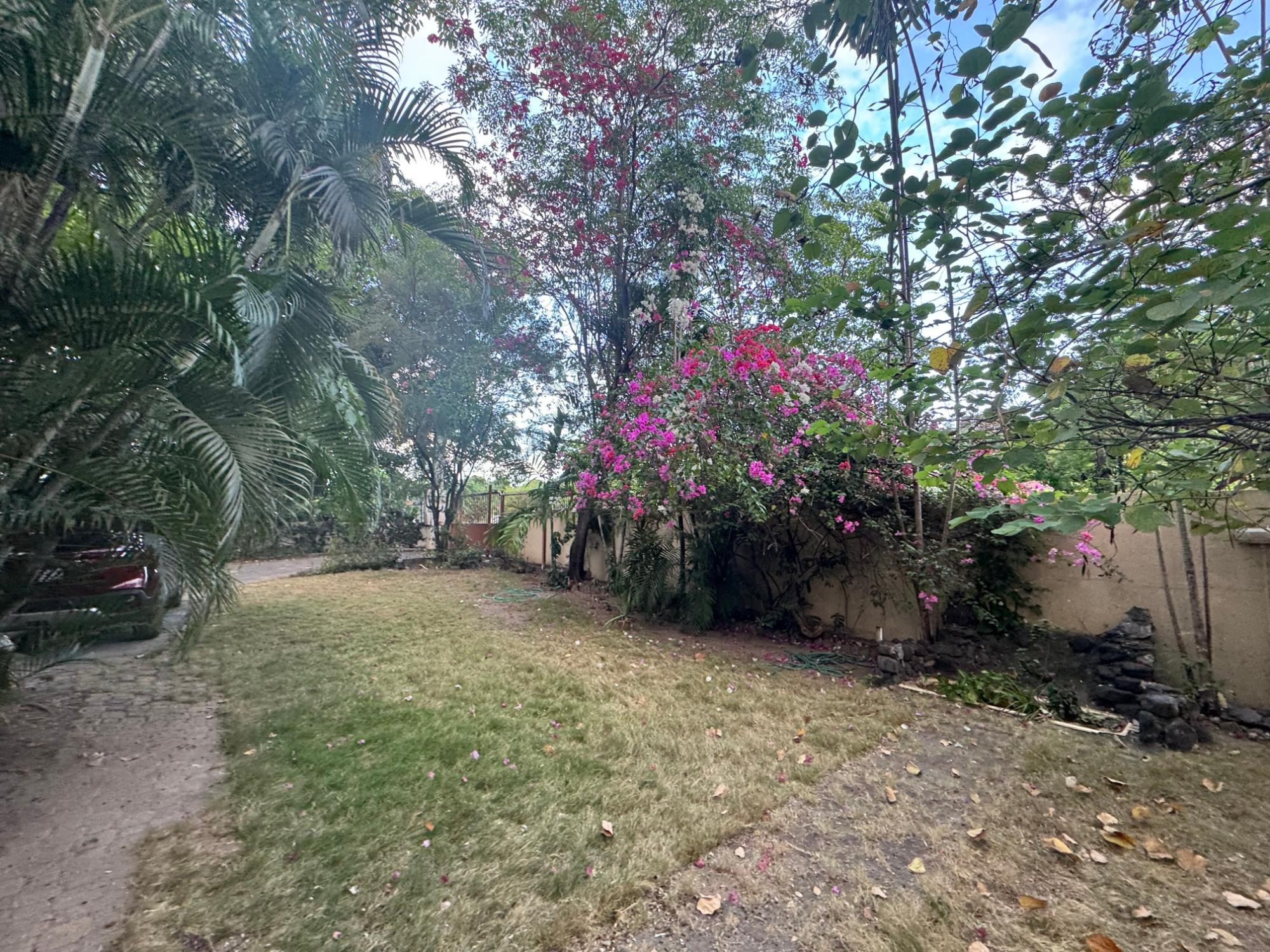 House For Sale: KINGS HOUSE AVE., Kingston 6 | $105,000,000 photo 7