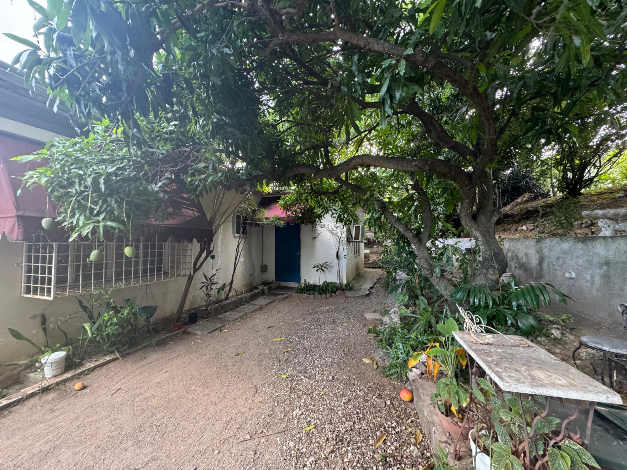 House For Sale: KINGS HOUSE AVE., Kingston 6 | $105,000,000 photo 16