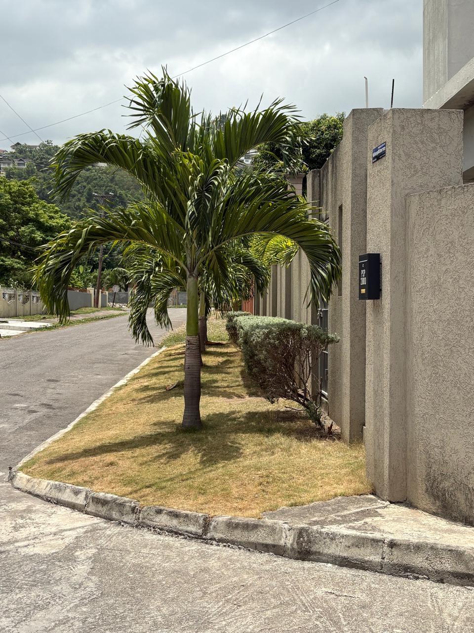 Apartment For Rent: COOLSHADE DRIVE, Kingston 19 | $190,000 photo 15
