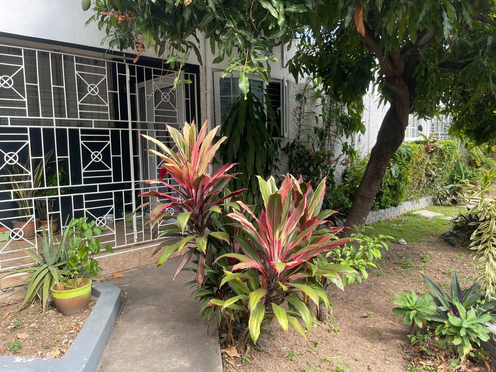 House For Sale: GARY CLOSE, Kingston 5 | $80,000,000 photo 4