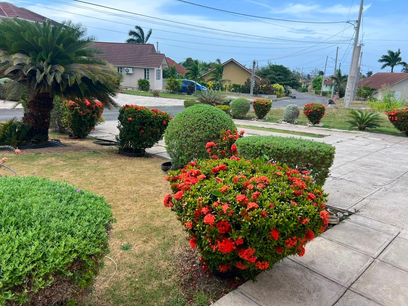 House For Rent: ESTATE, Ocho Rios | $1,200 photo 3