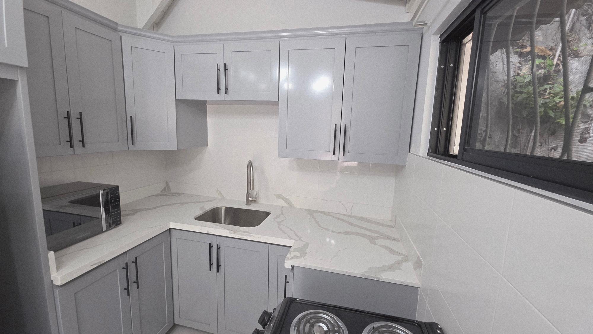 Apartment For Rent: HOPEDALE AVENUE, KINGSTON, Kingston 6 | $150,000 photo 7