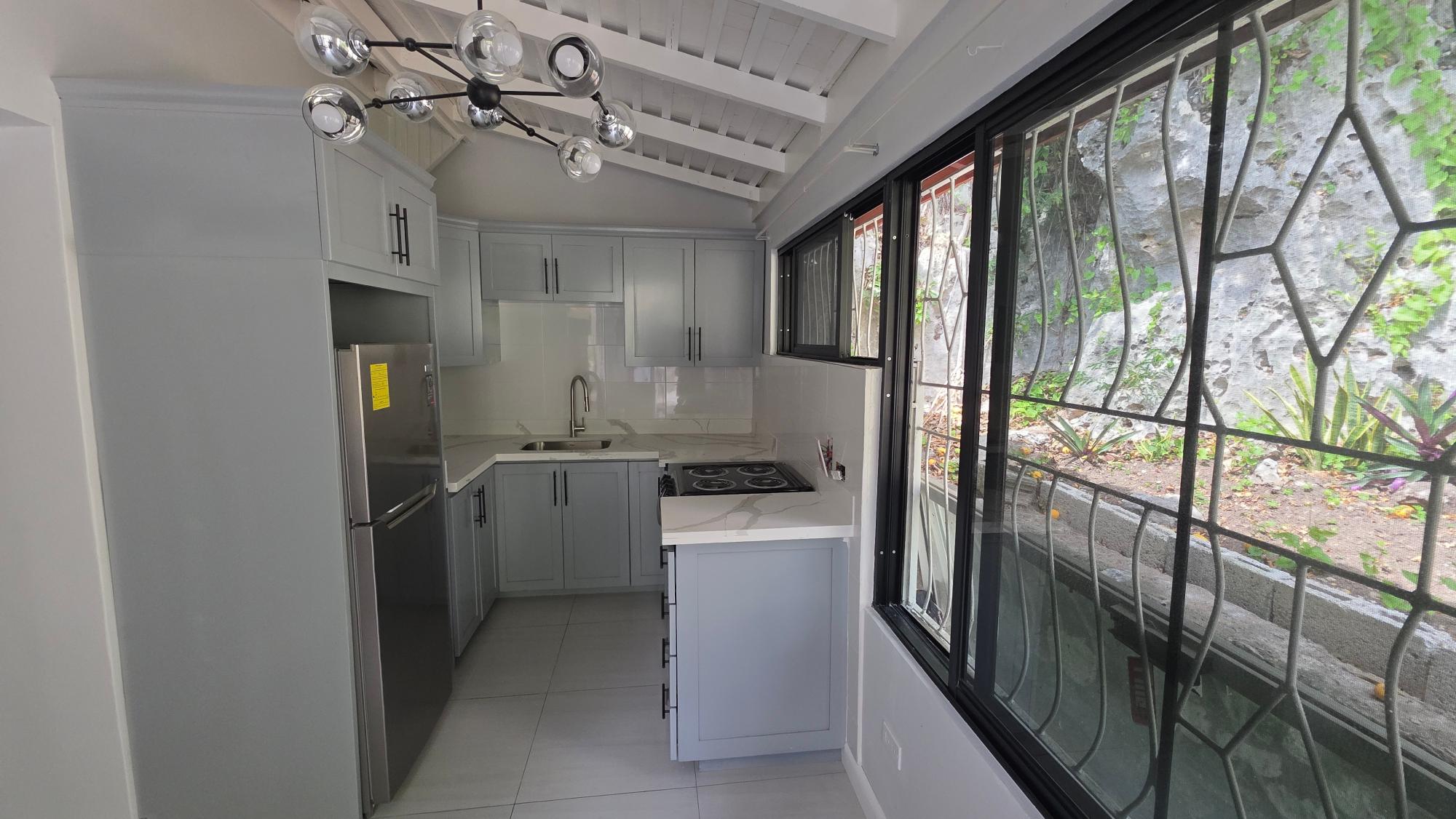Apartment For Rent: HOPEDALE AVENUE, KINGSTON, Kingston 6 | $150,000 photo 8