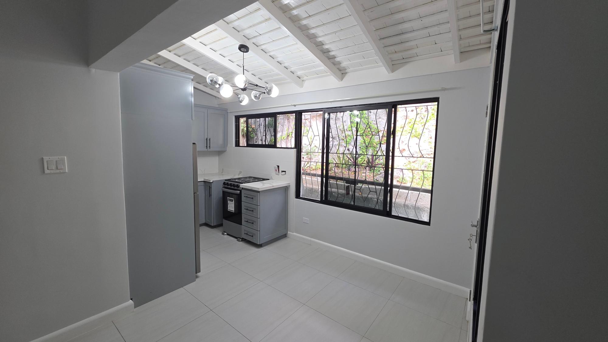 Apartment For Rent: HOPEDALE AVENUE, KINGSTON, Kingston 6 | $150,000 photo 13