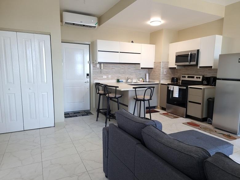Apartment For Rent: THE LOFTS, Kingston 6 | $1,500 photo 2