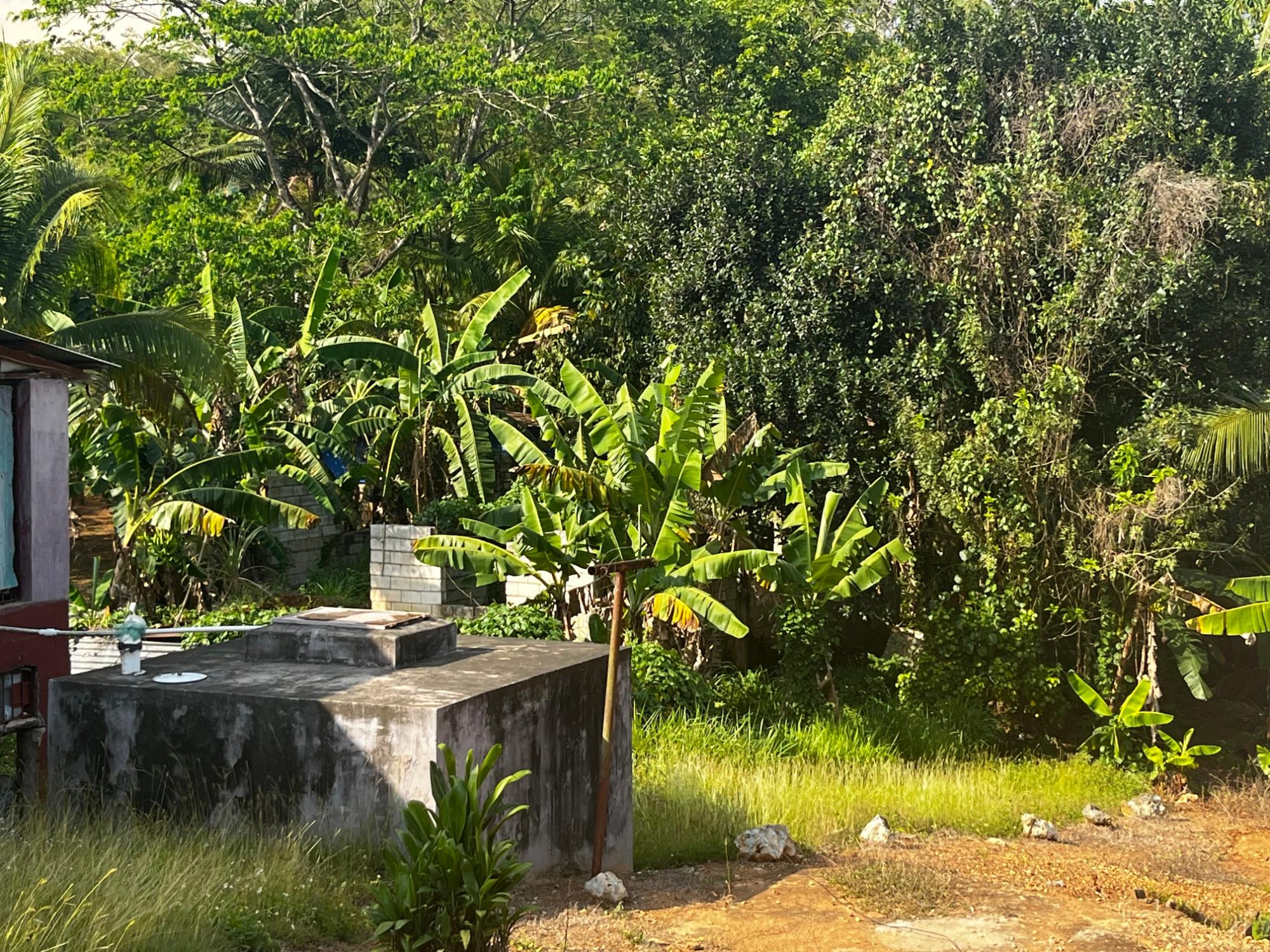 House For Sale: PART OF WALLENS LINSTEAD,, Linstead | $14,500,000 photo 19