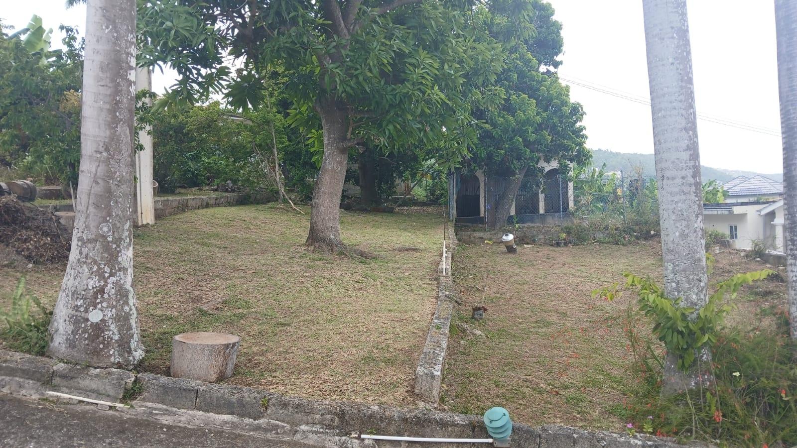 House For Sale: BOGUE HEIGHTS, Montego Bay | $68,000,000 photo 11