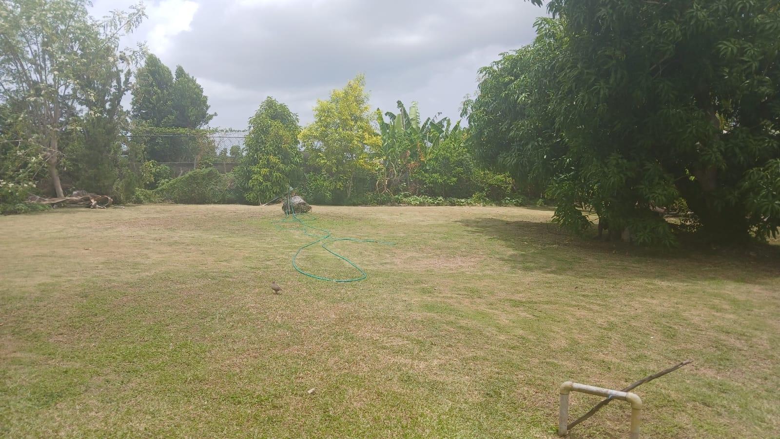 House For Sale: BOGUE HEIGHTS, Montego Bay | $68,000,000 photo 20