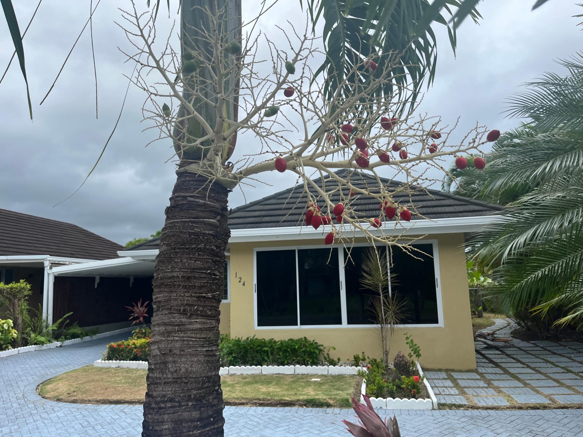 House For Rent: RICHMOND , ST ANN, Richmond | $1,700 photo 7