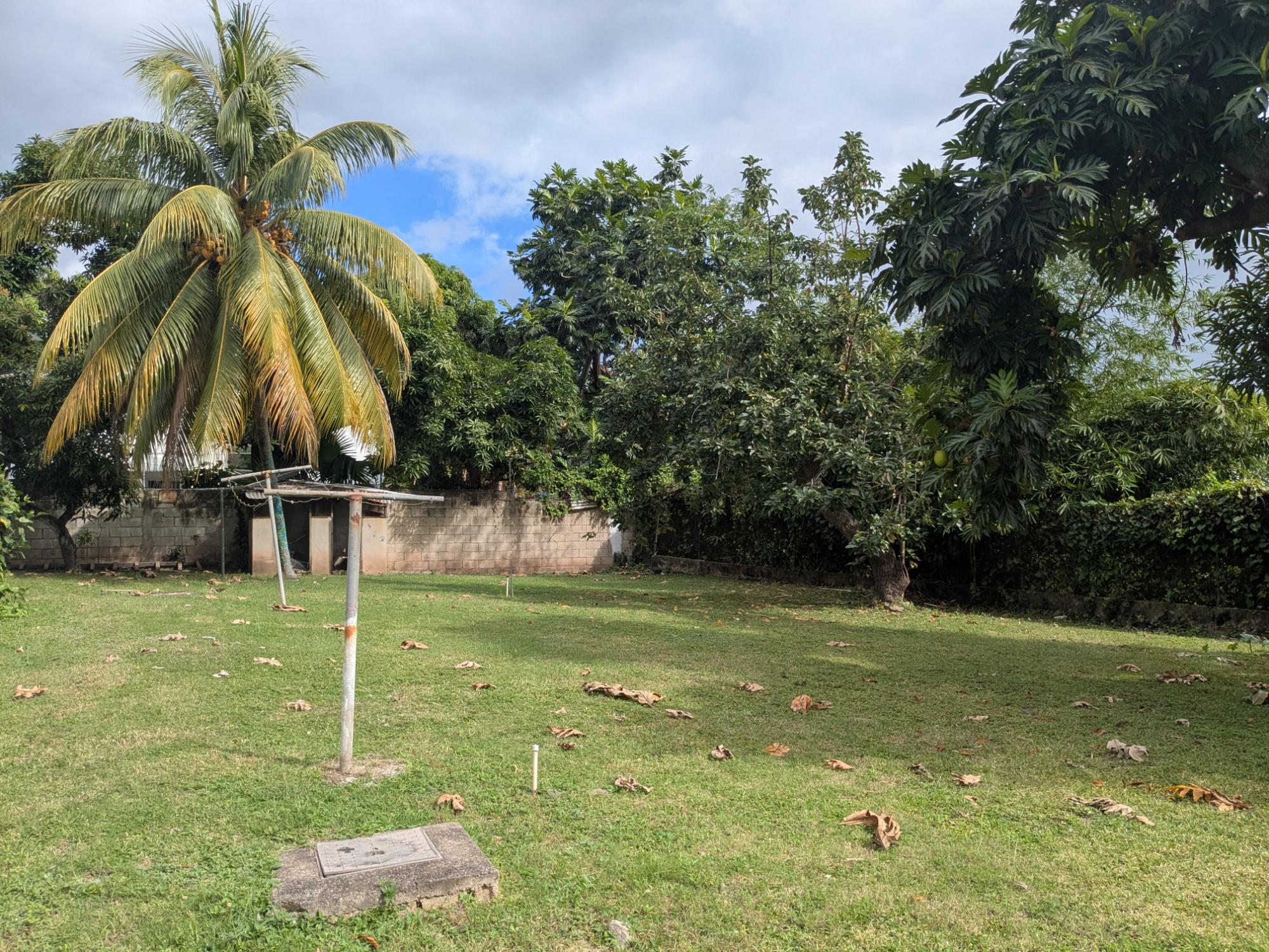 House For Rent: CHARLEMONT AVENUE, Kingston 6 | $1,100 photo 8