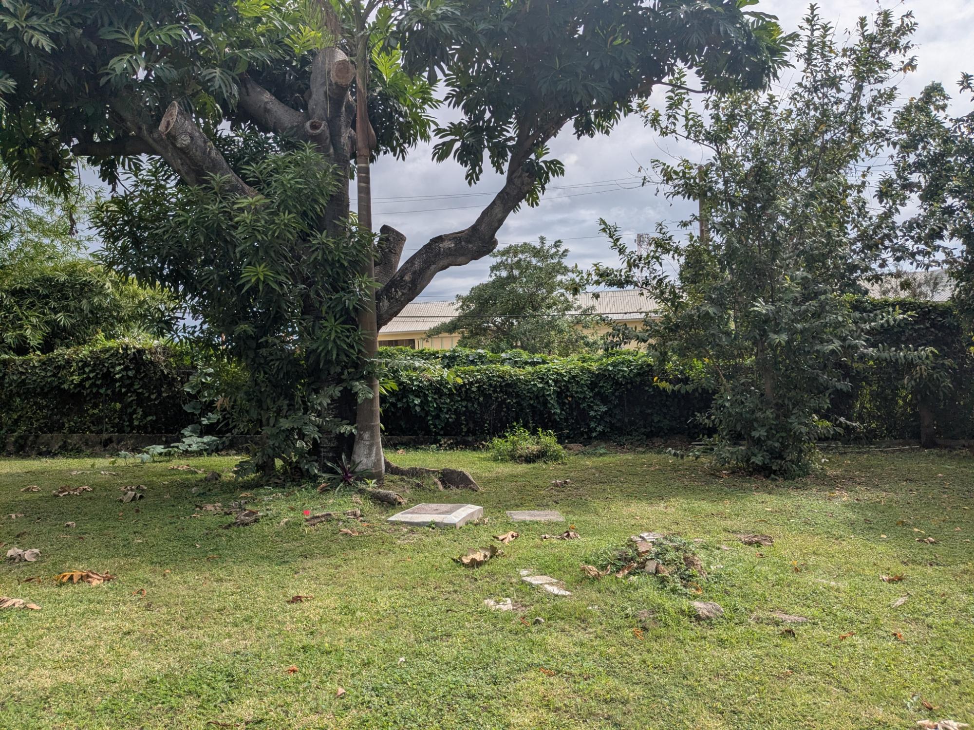 House For Rent: CHARLEMONT AVENUE, Kingston 6 | $1,100 photo 9