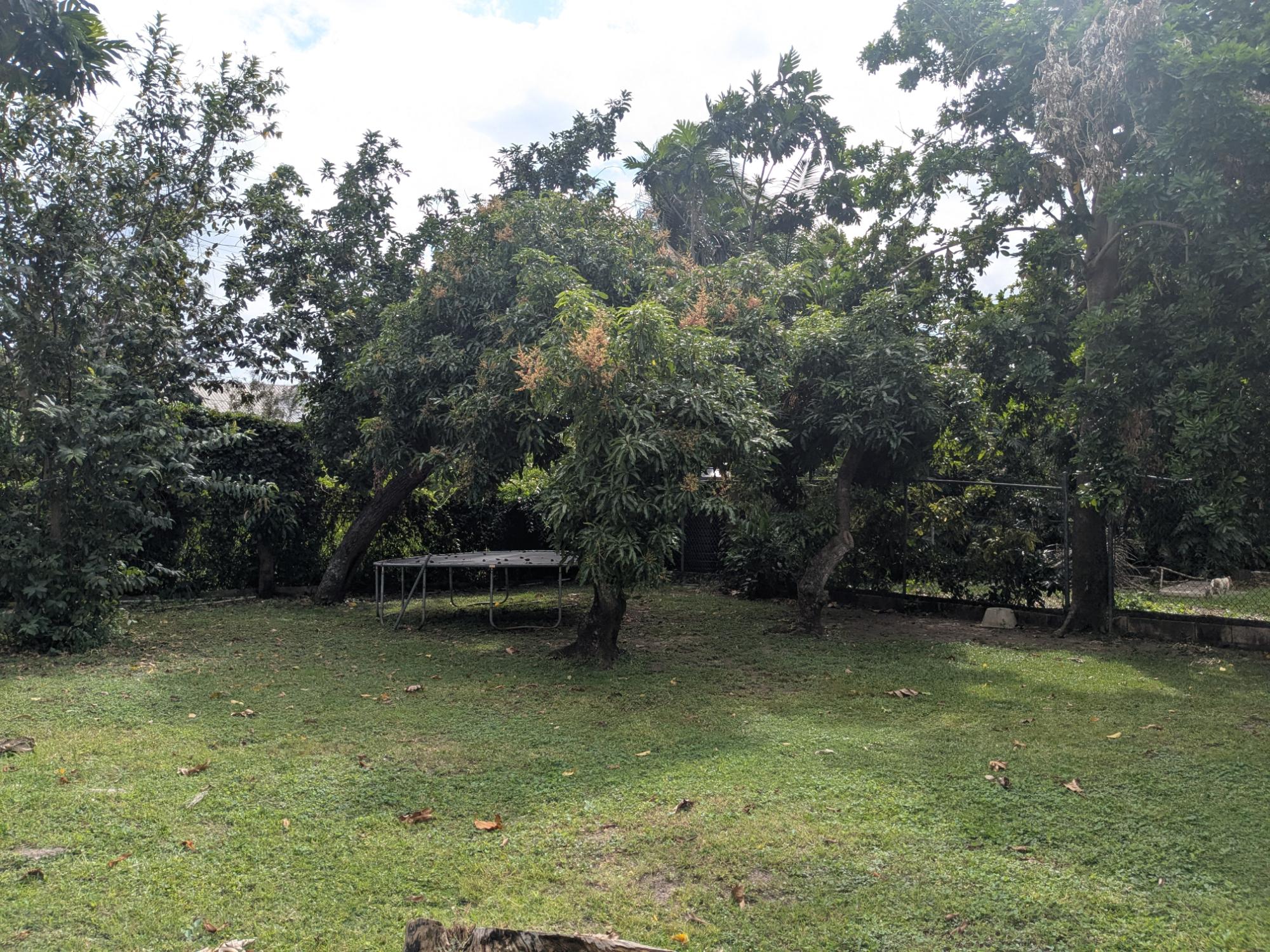 House For Rent: CHARLEMONT AVENUE, Kingston 6 | $1,100 photo 10