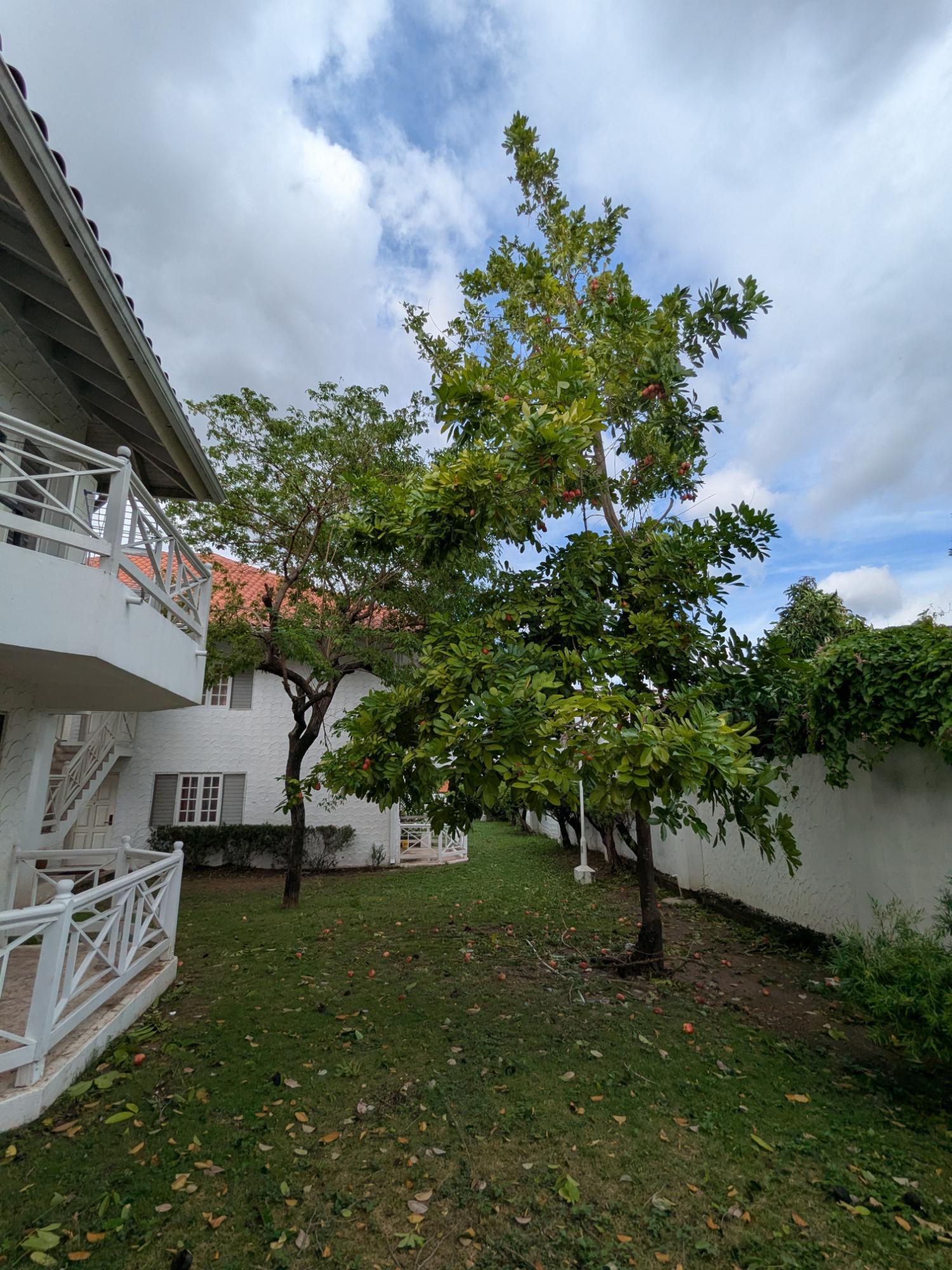 Apartment For Sale: EAST KINGS HOUSE ROAD, KI, Kingston 6 | $36,000,000 photo 3